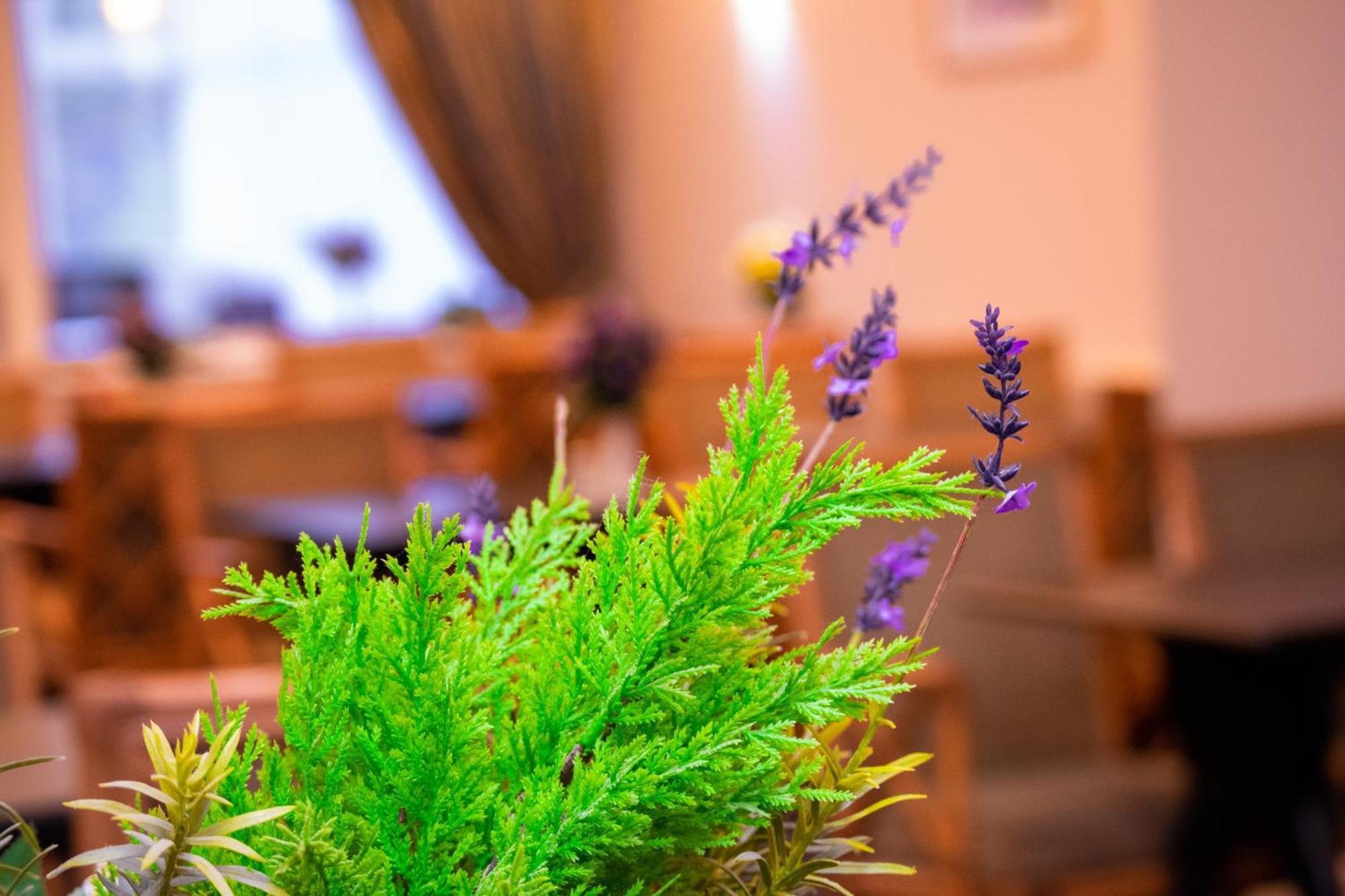 Marston Green Royal Square Hotel - Nec & Birmingham Airport מראה חיצוני תמונה